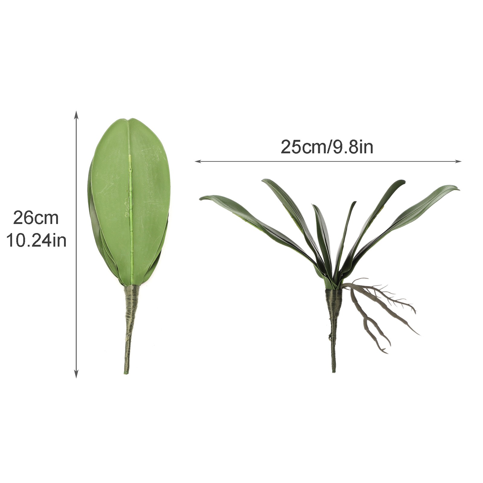 Eva Large 4 Pieces Of Phalaenopsis Leaves Orchid Leaves Wedding Home Decorati US