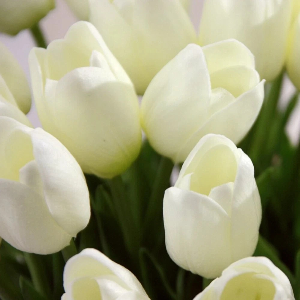 Artificial Tulip Flowers Real Touch Bouquet 1/5/10/15PCS Fake Tulips Home Weddin