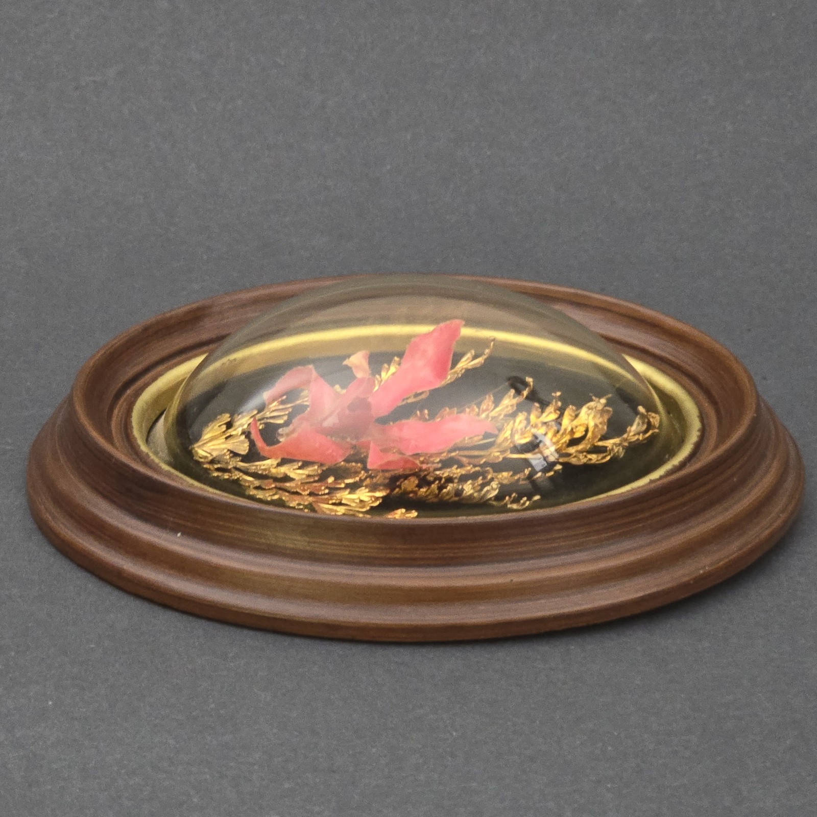 Vintage Orchid Flora Hawaiian Preserved 24K Gold Pink Fern Framed Dome 6″X5″