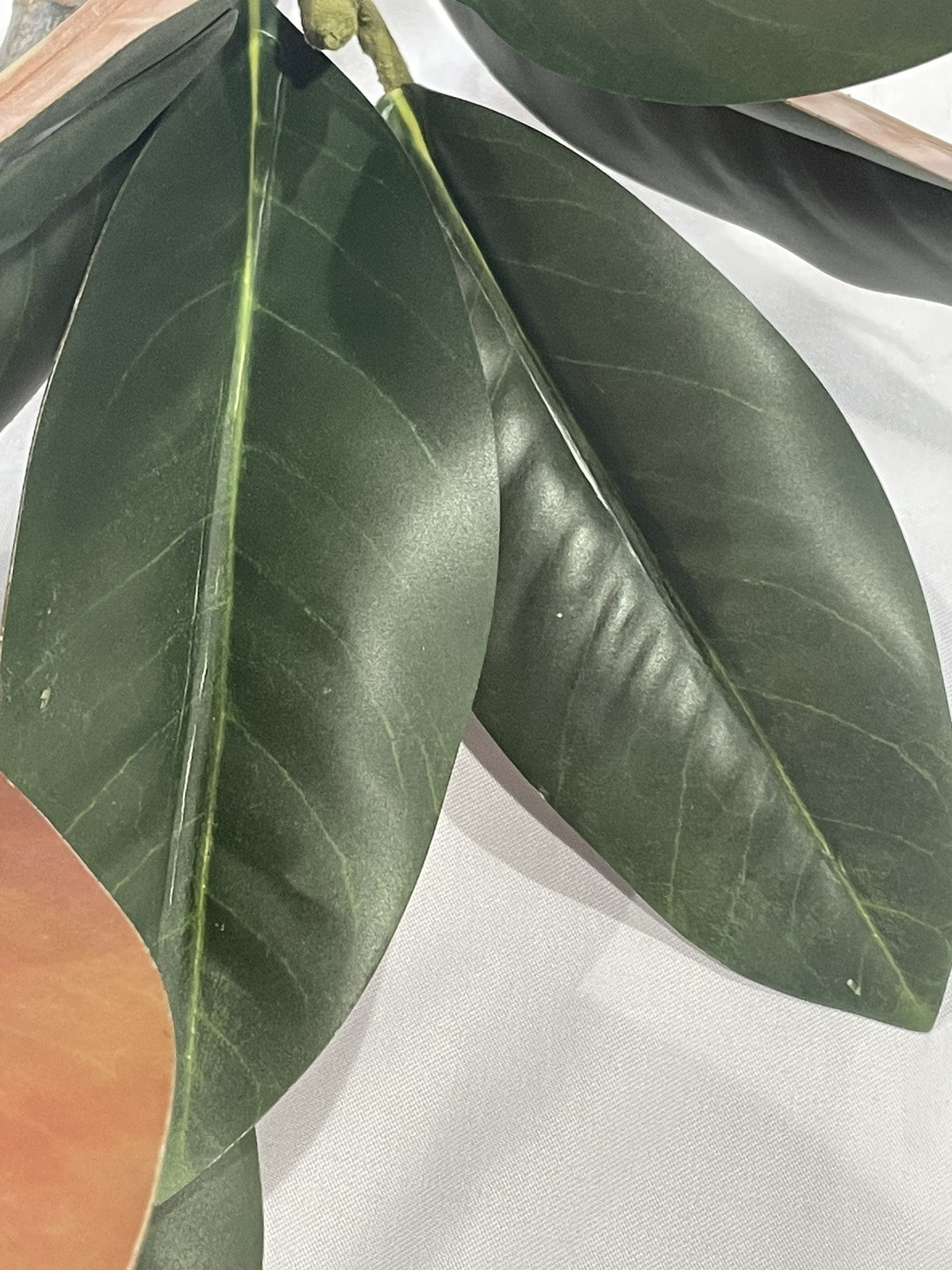 3 Pcs Magnolia Artificial Leaves Branches Faux Magnolia Leaf with Long Stems