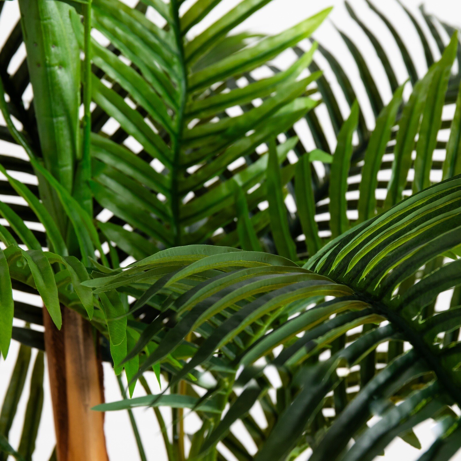 8’ Artificial Double Robellini Palm Tree UV (Indoor/Outdoor). Retail $239