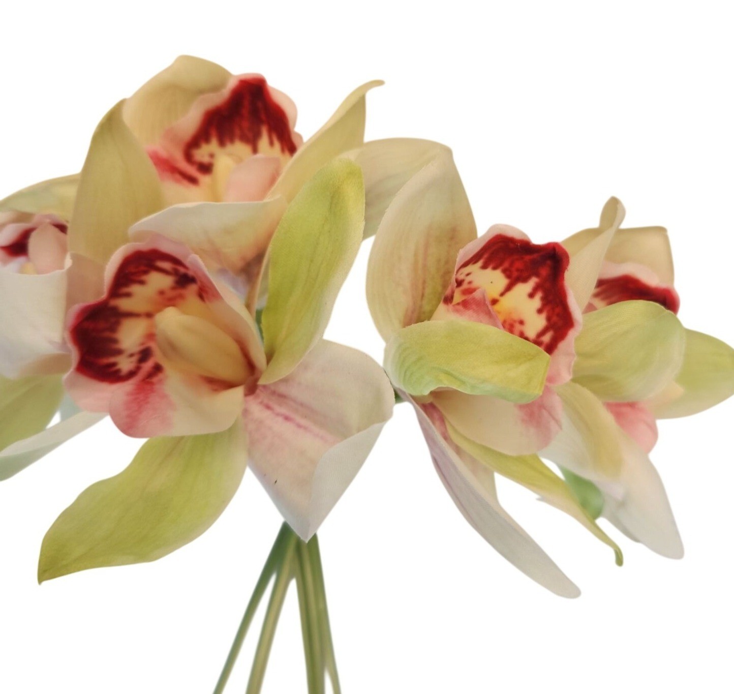Artificial Cymbidium Orchid Stems Cream Green Burgundy Faux Orchid Bouquet Reali