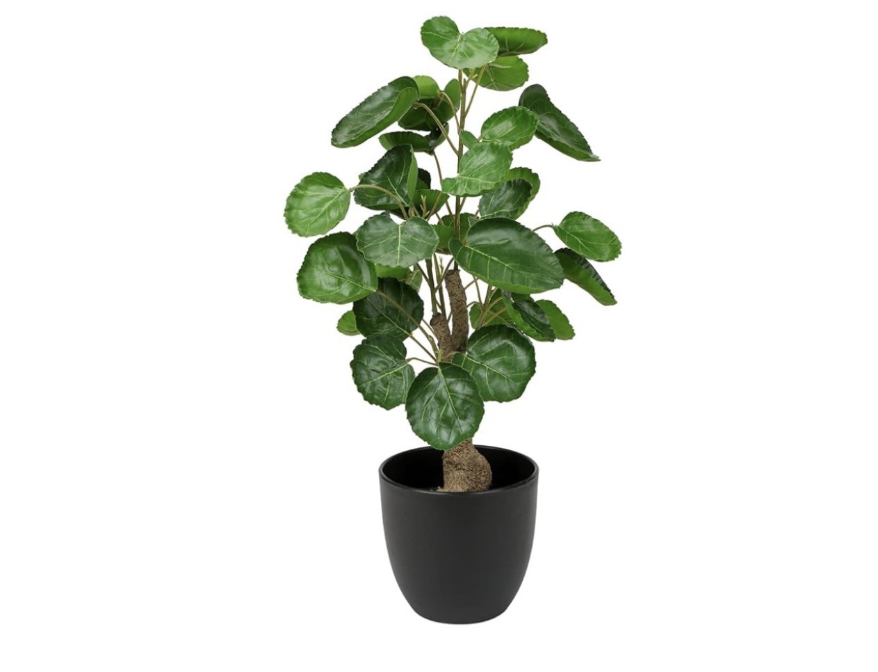18 Inch Fake Money Tree Plant Indoor Potted Plants Artificial Pachira Money T…