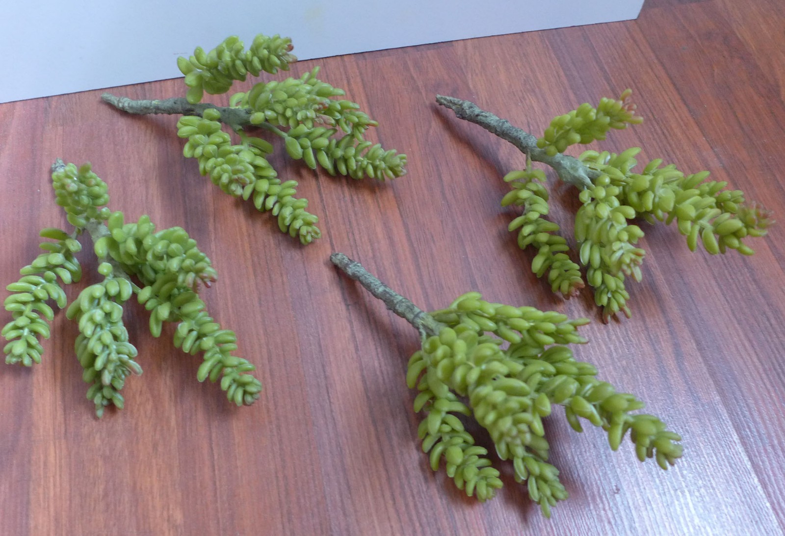 Set of 4 Artificial Autumn 7 stems Yacon Succulents Plants
