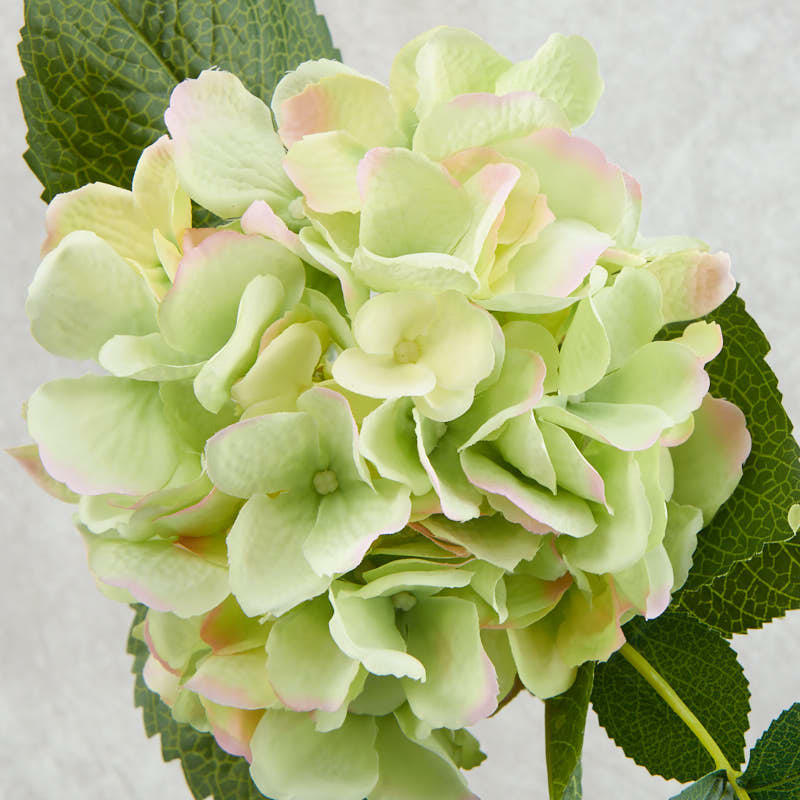 Factory Direct Craft 15 Inch Light Green and Pink Artificial Floral Hydrang