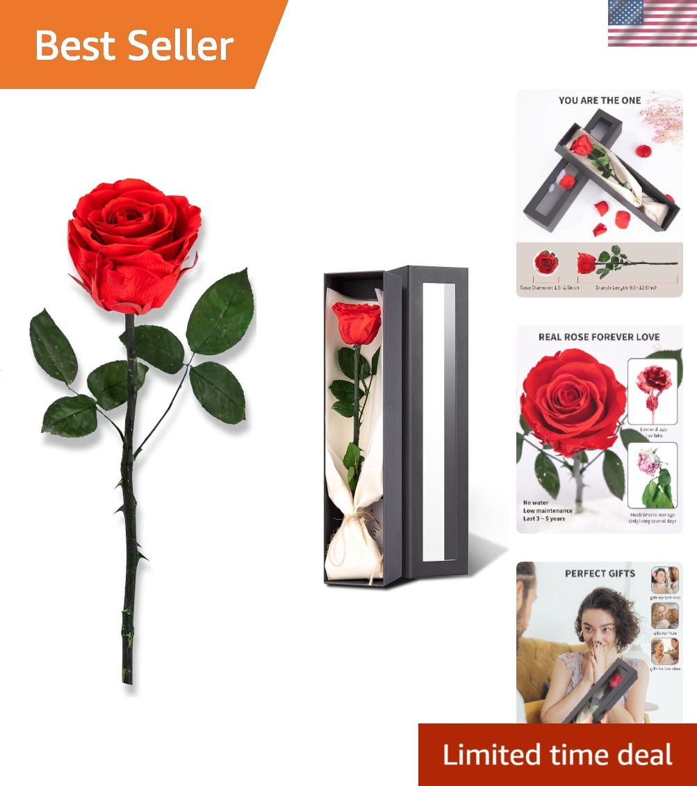 Everlasting Single Red Rose – Heartfelt Gifts for Women, Mom, or Girlfriend