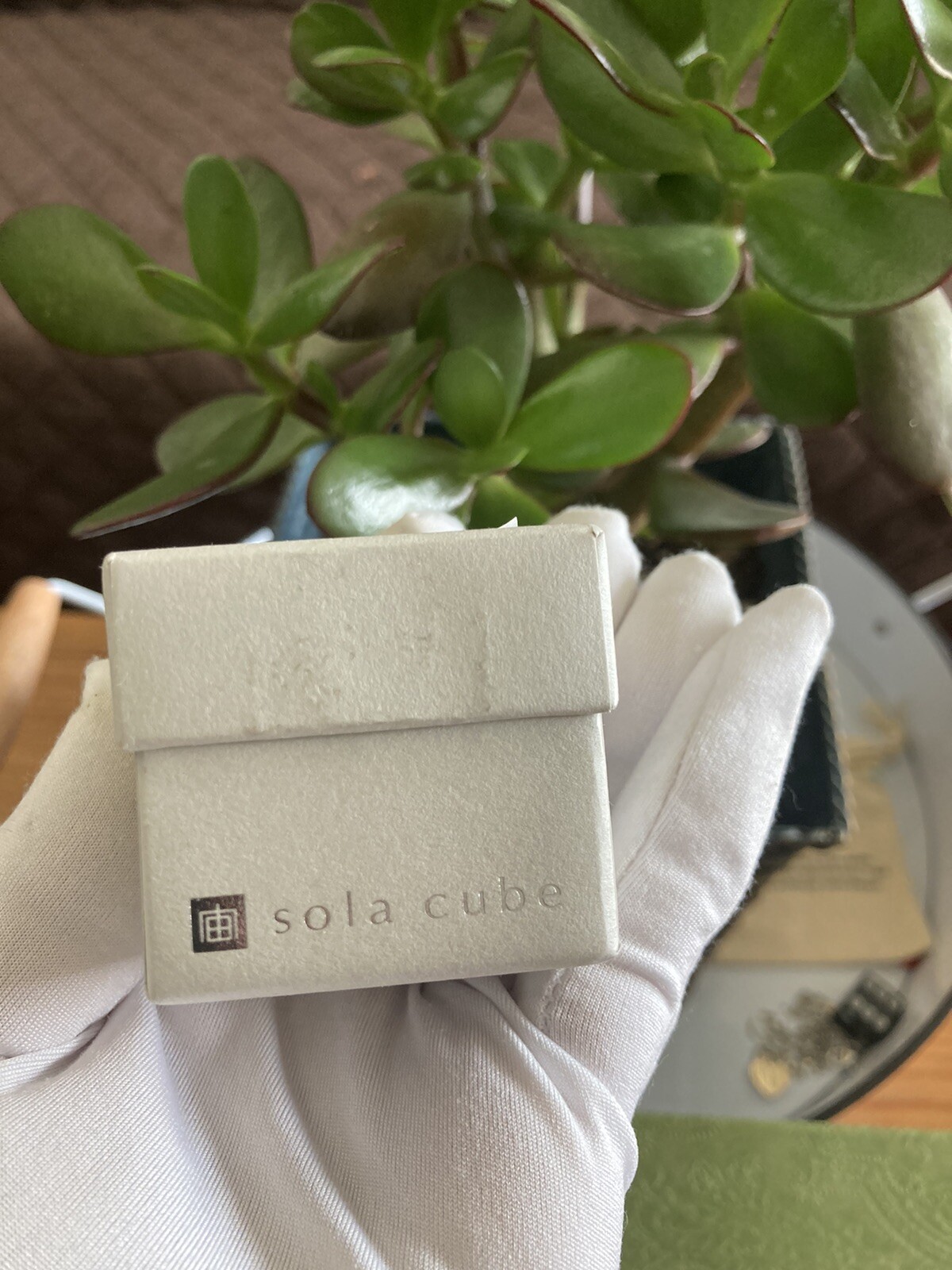 sola cube LUNARIA ANNUA 5cm square Dandelion acrylic resin dried flower japan