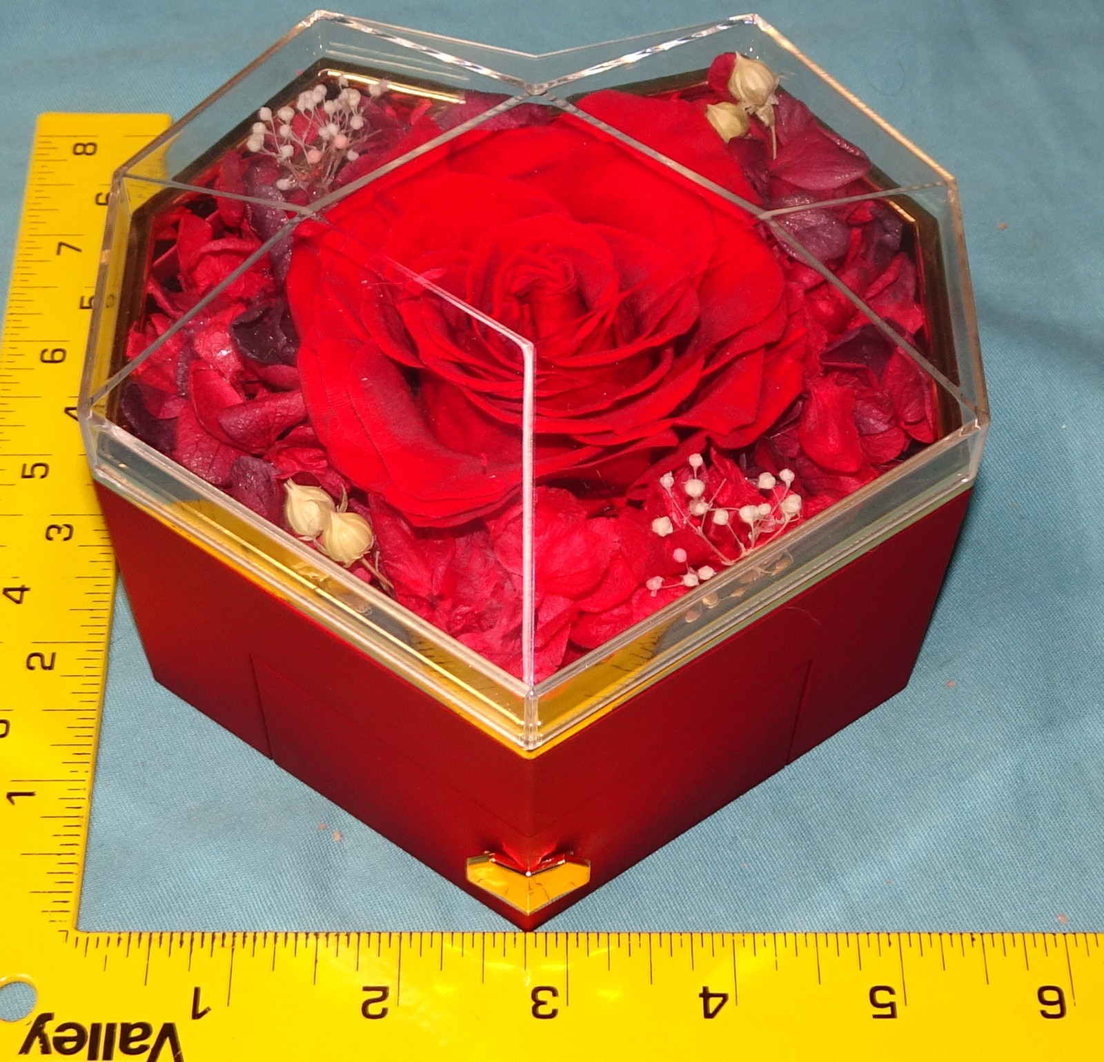 new open box Preserved Real Red Rose Gift Box with Heart Necklace Eternal Flower