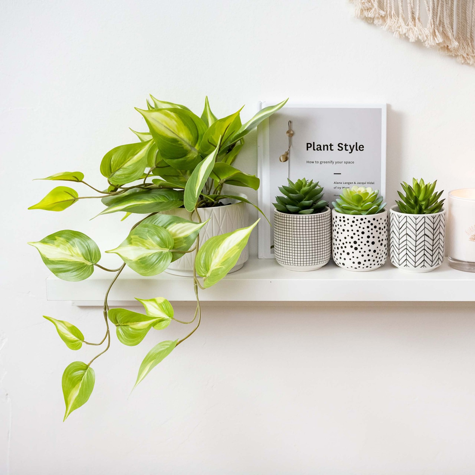 Artificial Succulents in pots | Set of 3 Black and White pots with Faux Succu…