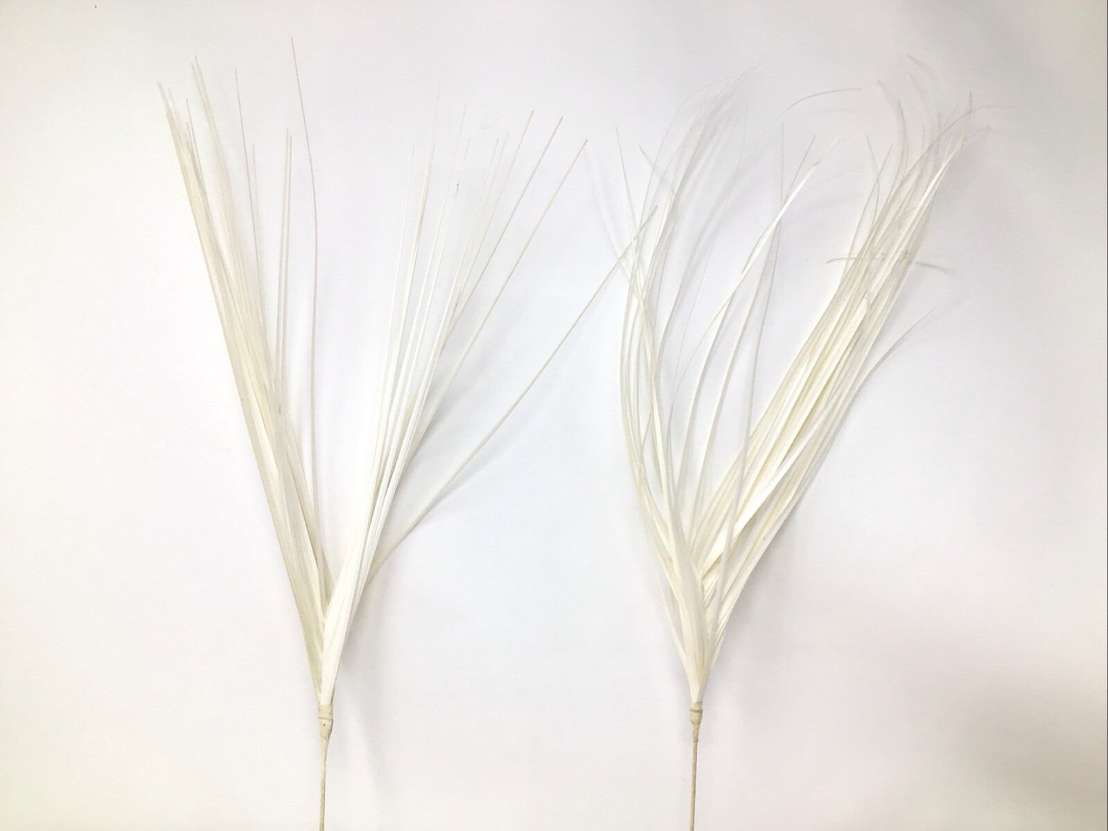 Onion Grass Floral Pick White 27” Arrangement Basket Filler 2 Picks Vintage