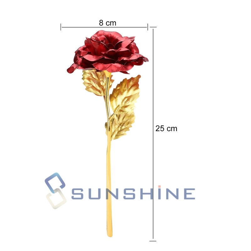 Romantic Eternal Rose Flower In Dome Glass LED Night Light Anniversaries Xmas
