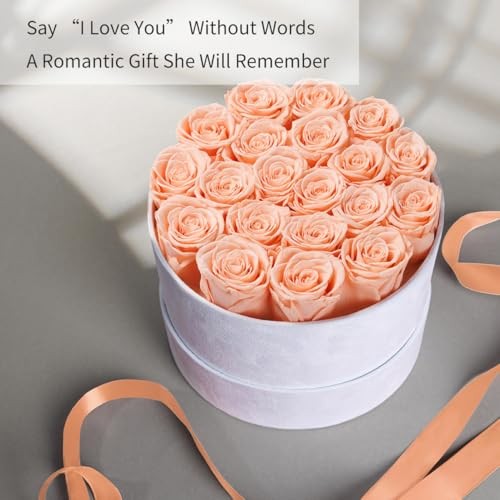 Gifts for Women Preserved Roses Flower Box, Luxury Velvet 20 Roses Peach Pink