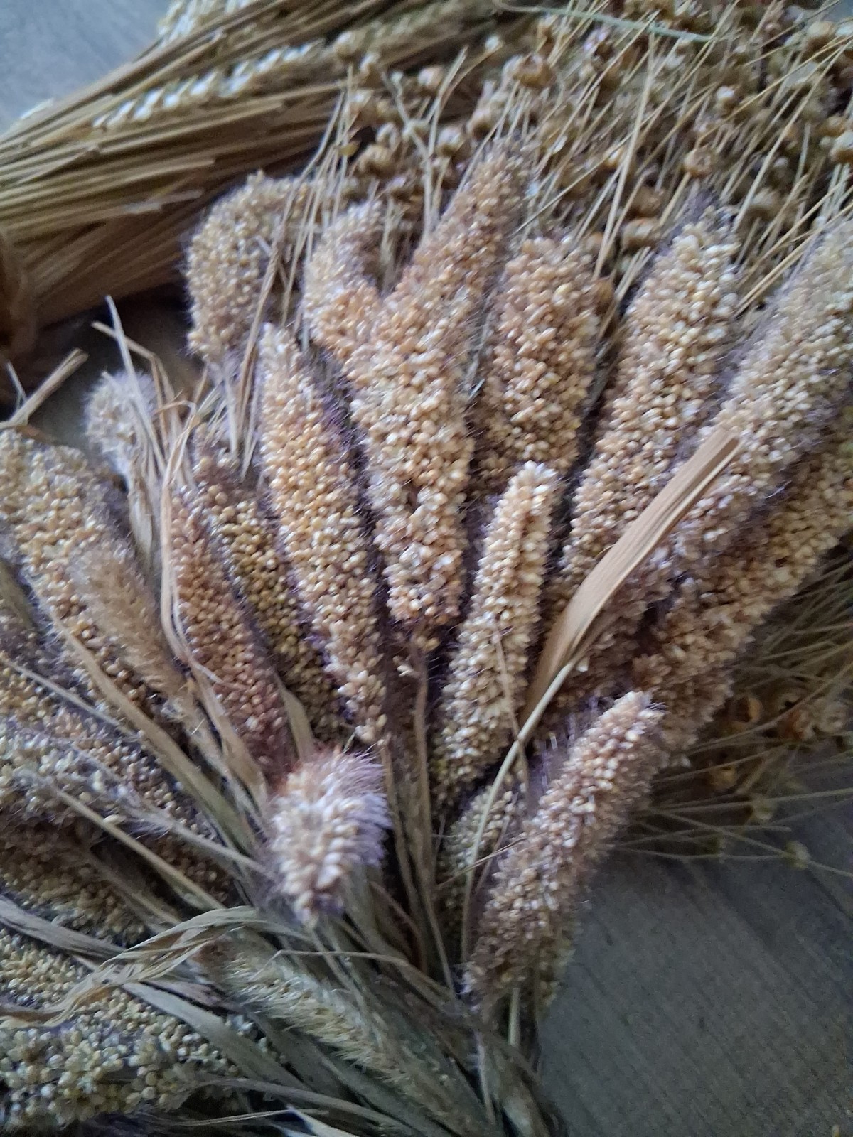 Natural Dried Flower/Wheat Wreath 15″ – Wall Or Door Decor And Wheat Stalks