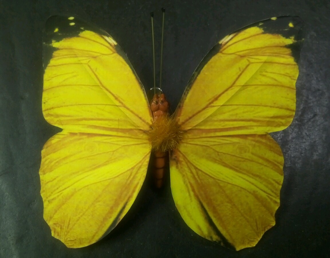 6 BUTTERFLIES 3D PAPER YELLOW REALISTIC CLIP ON DECORATIVE FLORAL HOME DECOR
