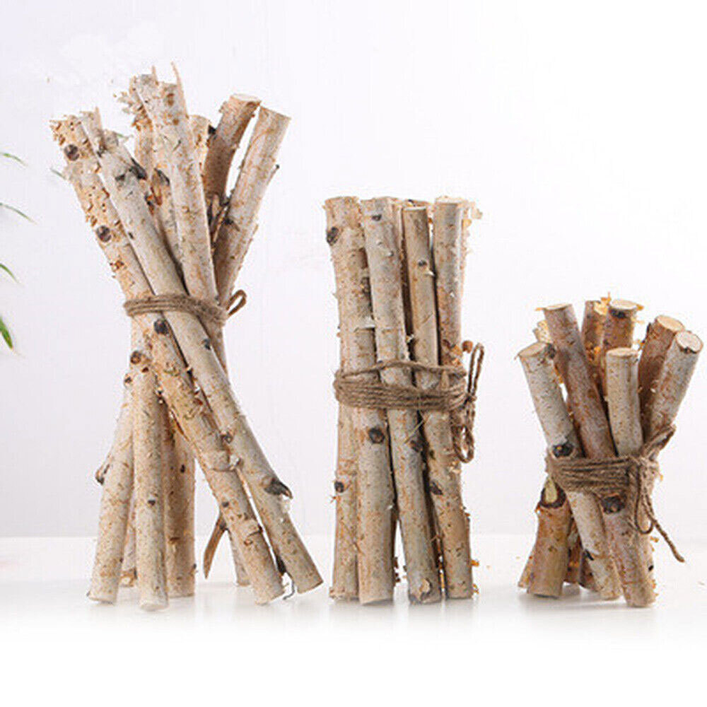 1Pc Natural Dried Tree Branch Birch Stick Flower Home Garden Party Floral Decor