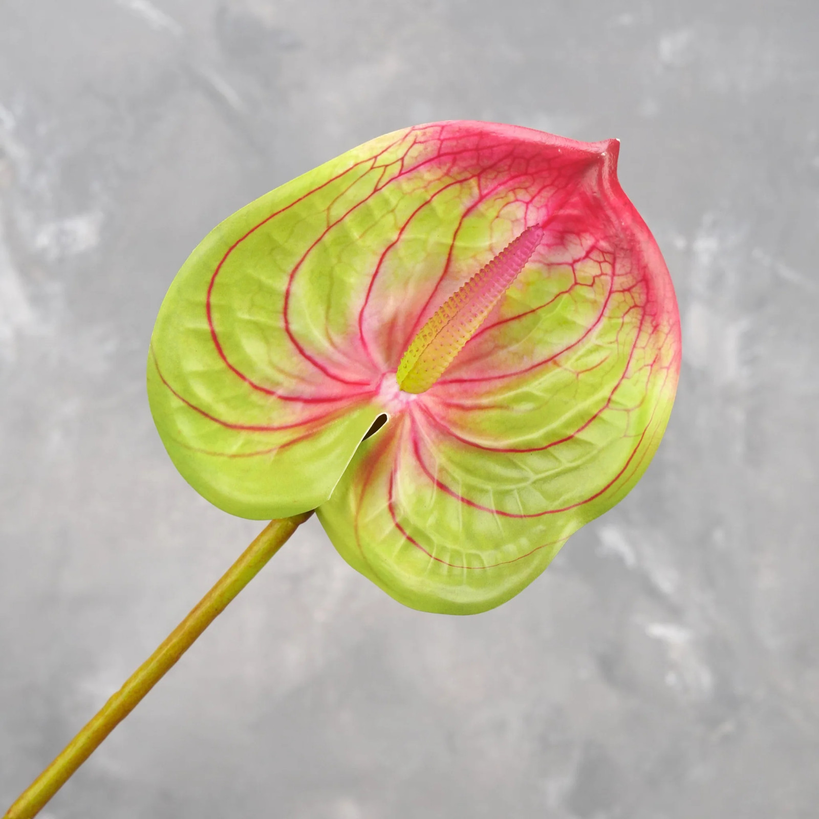 24″ Real Touch Faux Anthurium – Green | Artificial Flower | Decoration