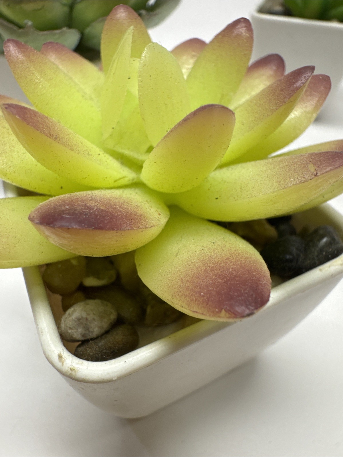 Gift Set of 5 Mini Artificial Succulent Plants in Square White Plastic Pots
