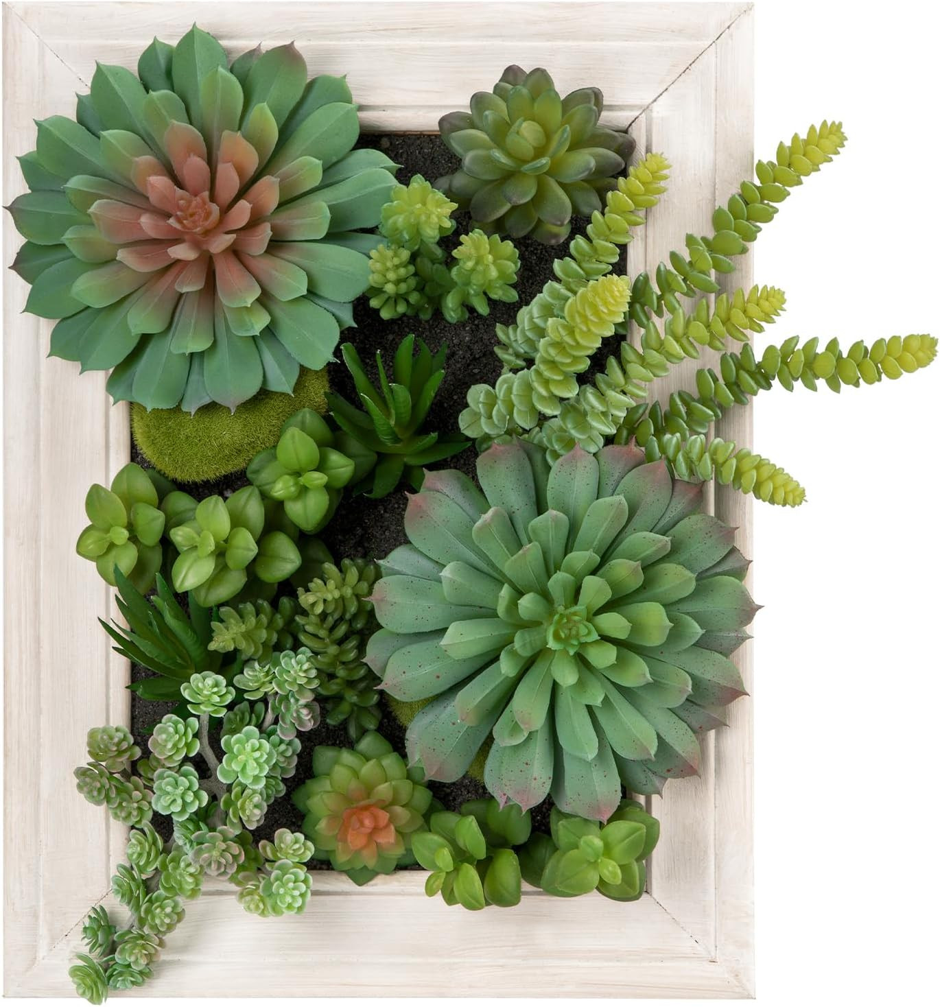 Hollyone Artificial Succulents Hanging Plants Large Rectangle Wall Shelves Fake