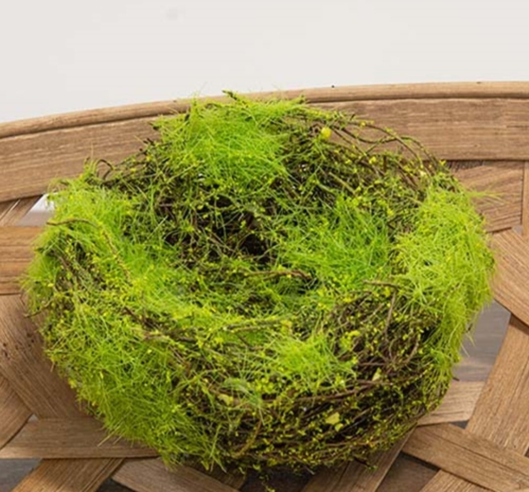 5″ Mossy Vine Bird Nest