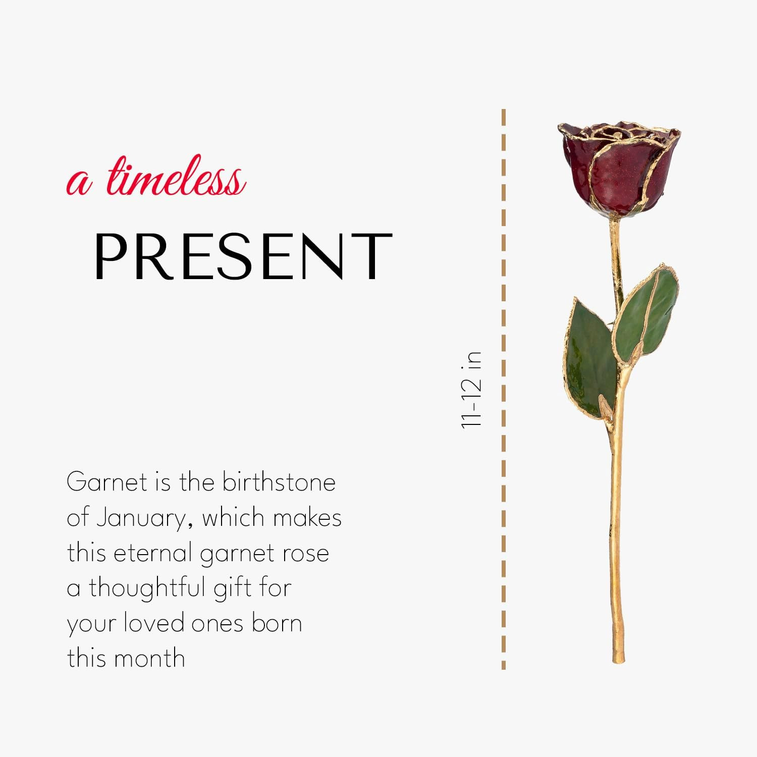 24K Gold Dipped Garnet Rose with Glass Vase – Unique January Birthstone Gift