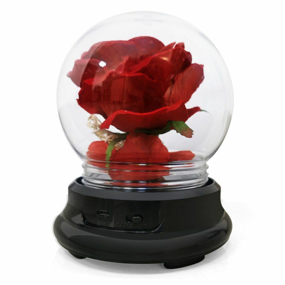 Flower Rose Preserved In Glass Mothers Day Birthday Gift Womens Girls Home Decor