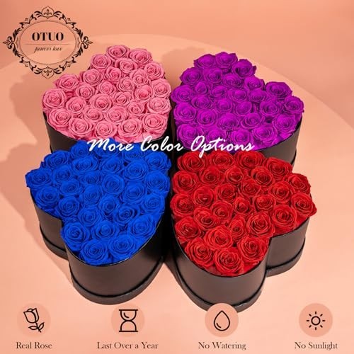 27 Preserved Red Roses in Heart Box – Lasts 2 Years, Forever Flowers for Gifts