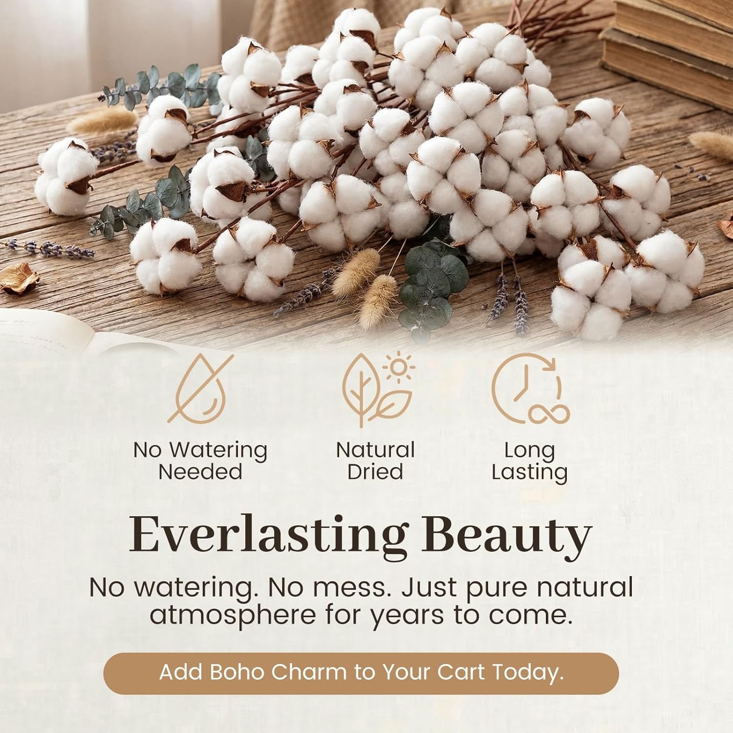 Cotton Stems 8 Packs with 15 Bolls, Natural Dried Flowers Cotton Sprigs for Vase