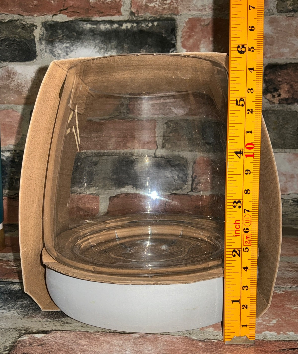 Threshold 6″ x 6″ Glass & Cement Terrarium Indoor Outdoor Decor NIB