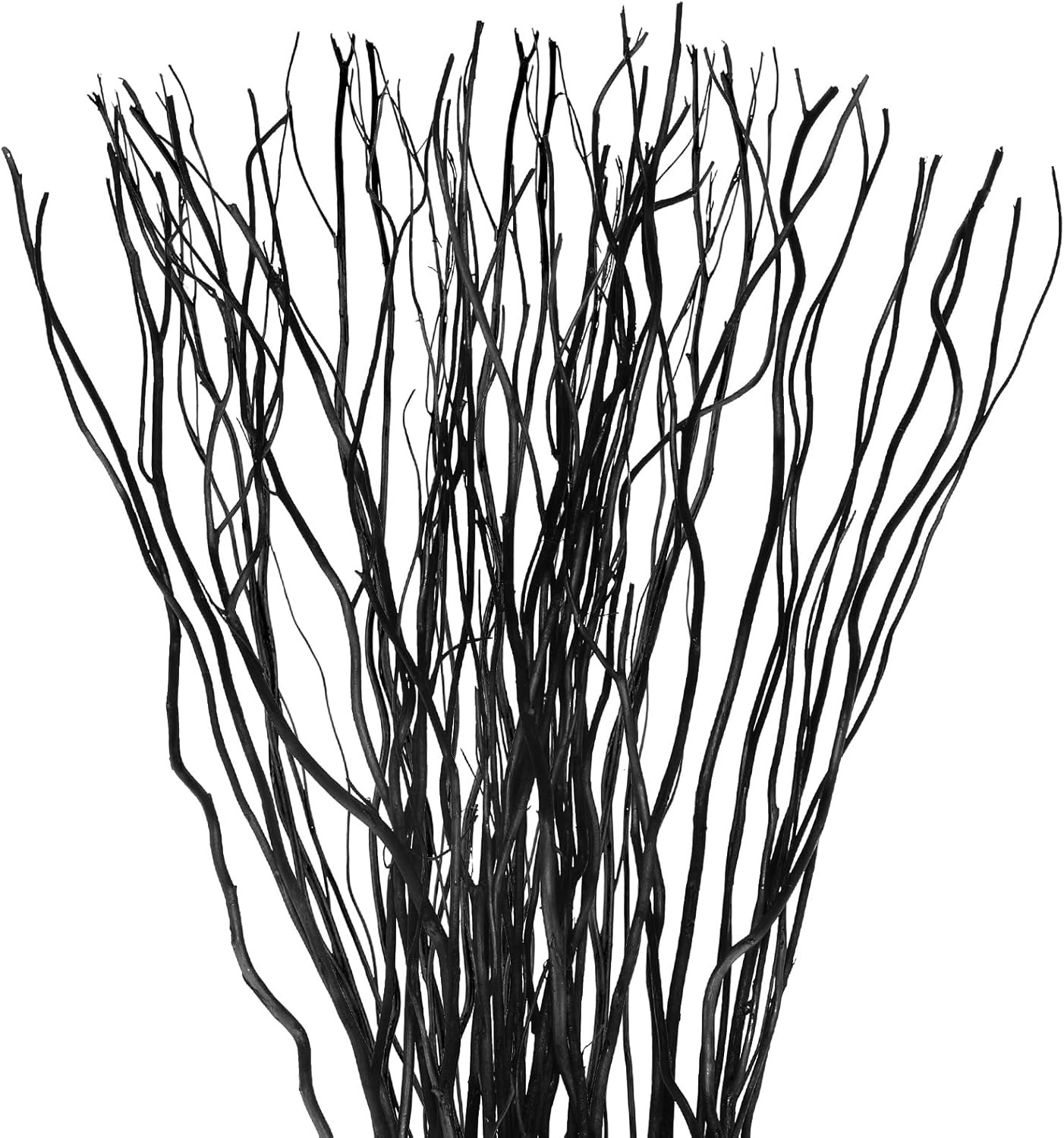 50 Pcs Curly Willow Branches Decorative Dried Willow Vase Filler Tree Branches f