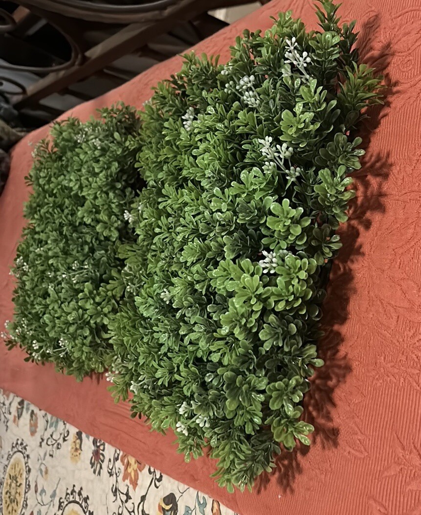 Boxwood Mat/Panel, 10” X 10”