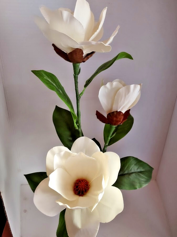 Magnolia stem bush CREAM