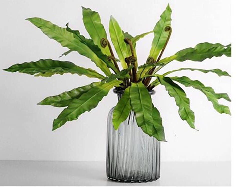 2Pcs Artificial Fern Green Plant Bird’s-nest Fern Asplenium Nidus Faux Silk T…