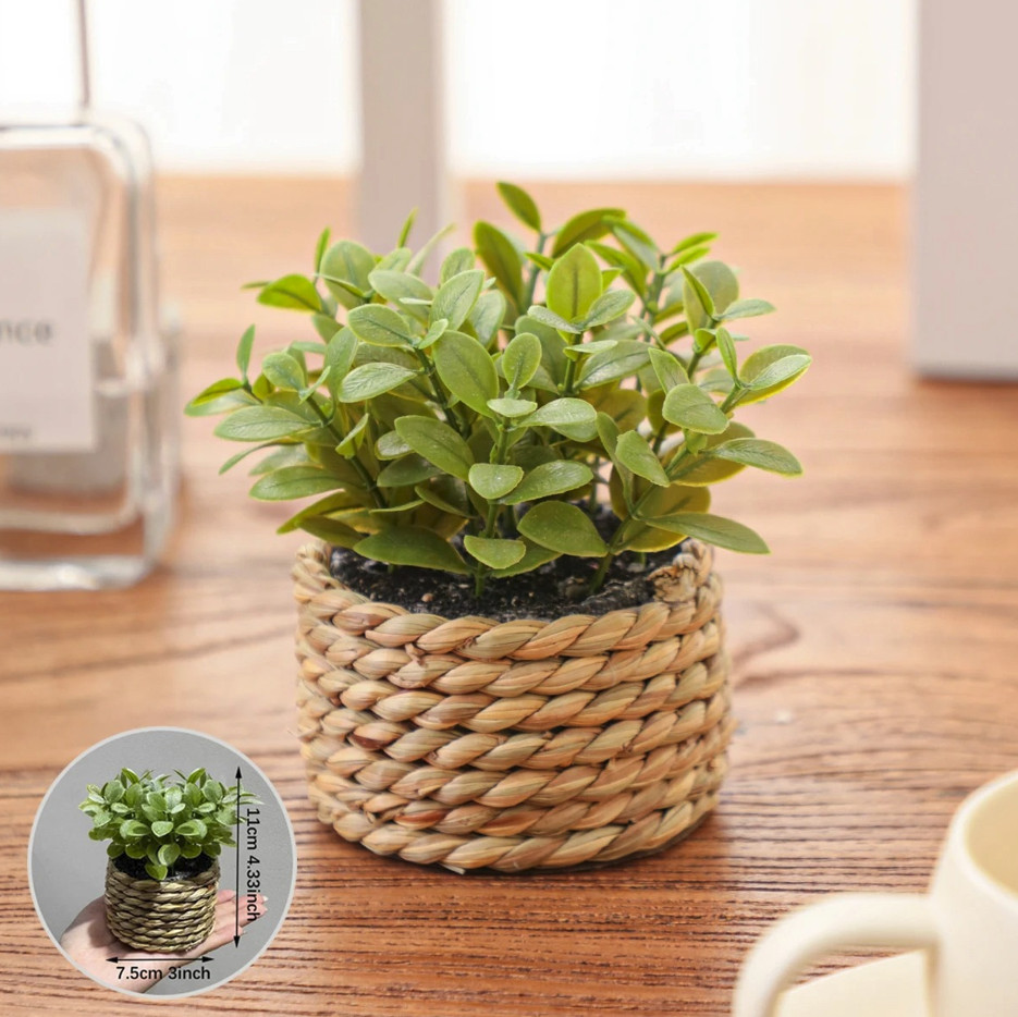 1pc Artificial Eucalyptus Grass Small Potted Plant 11cm Home Decor – NEW