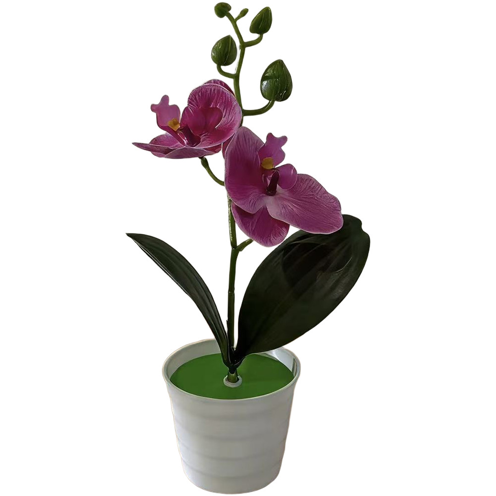 Fake Orchid Plant Phalaenopsis Type for Living Room Bedroom Study Decor Plastic