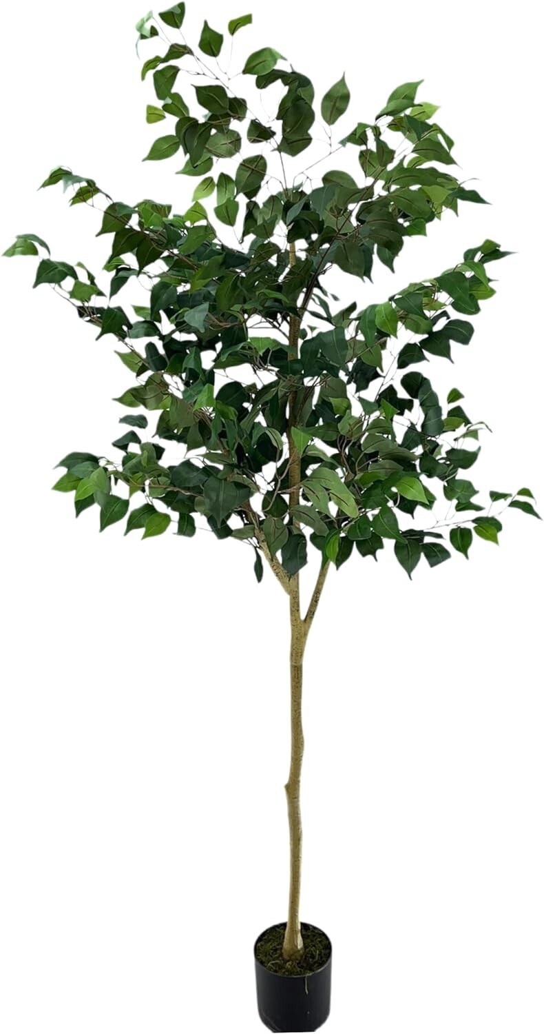 Moss & Bloom 6ft Artificial Ficus Tree in Planter Natural Look Low Maintenace