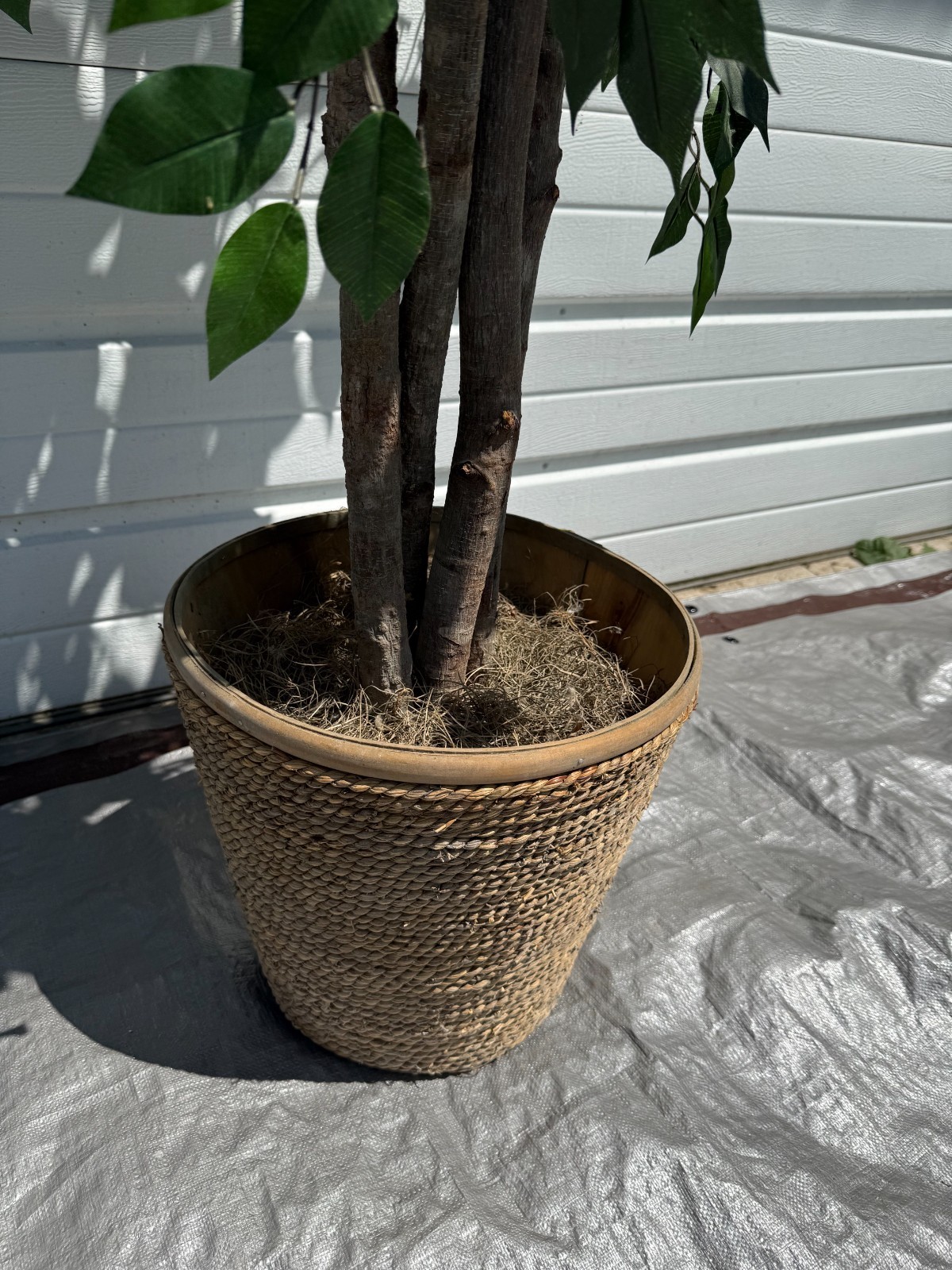 6.5 foot -Faux Ficus Tree In Roped-Style Handwoven Basket