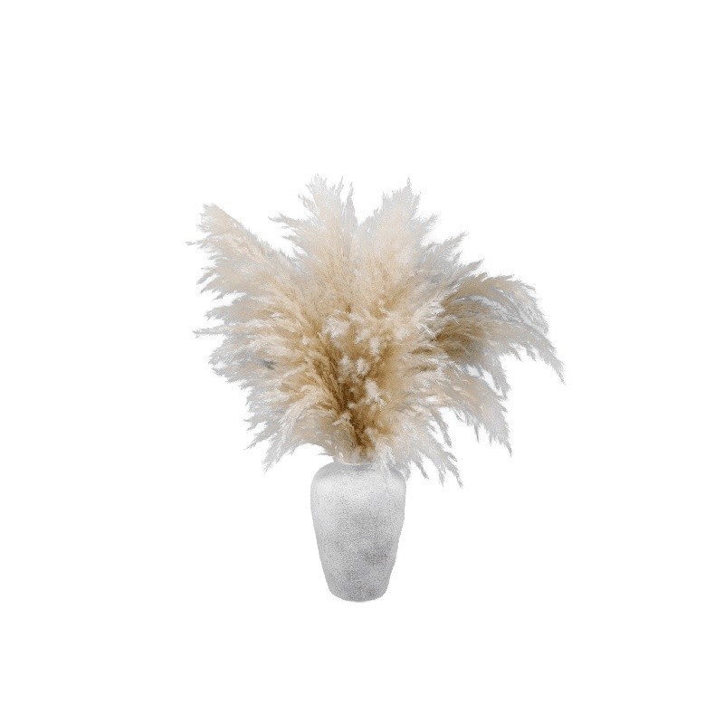 22″ Dried Pampas Grass Arrangement in Ceramic Vase Boho Home Decor Accent New