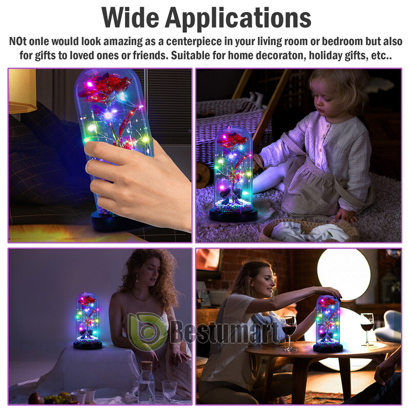 Eternal Forever Romantic Rose Flower In Glass Dome LED Light Mother’s Day Gift
