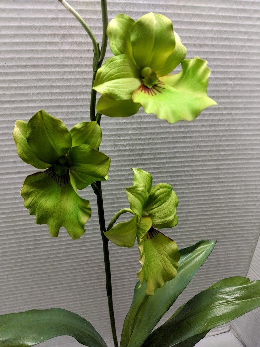 ARTIFICIAL miltoniopsis orchid plant