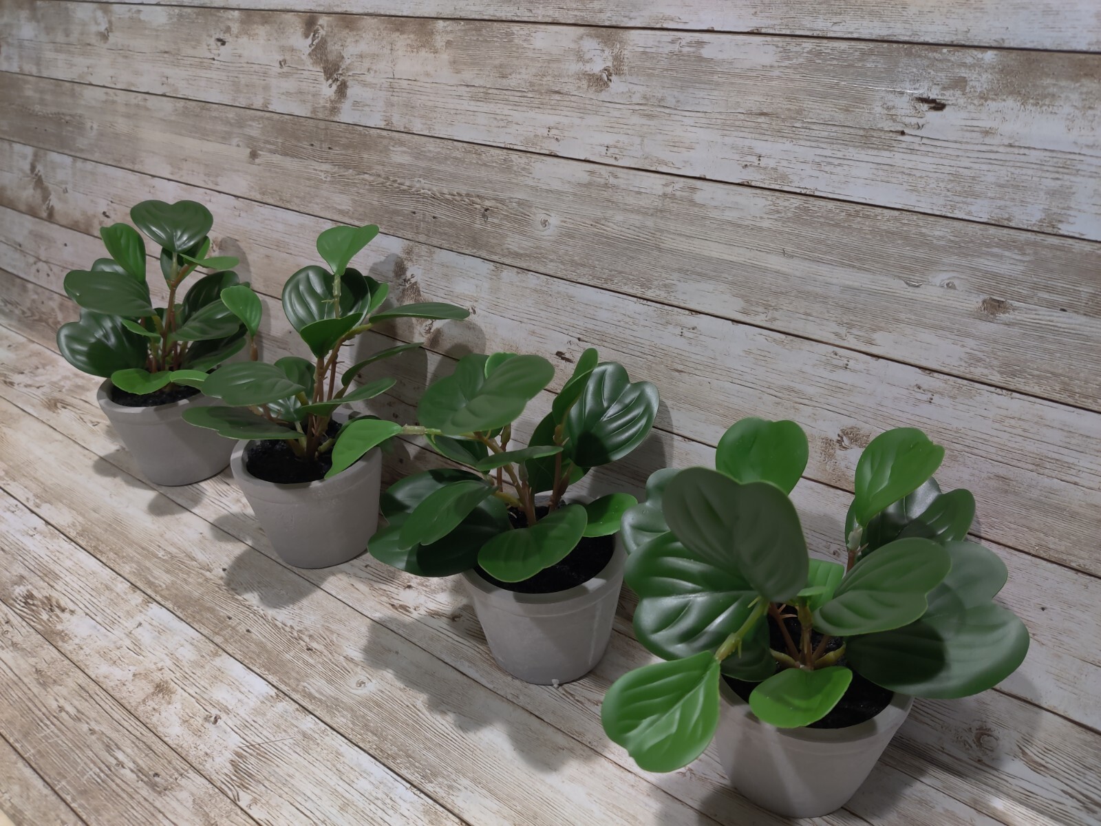 Faux Hoya Heart Potted Plant from Hearth and Hand with Magnolia *4 Pack* 7″ Mini