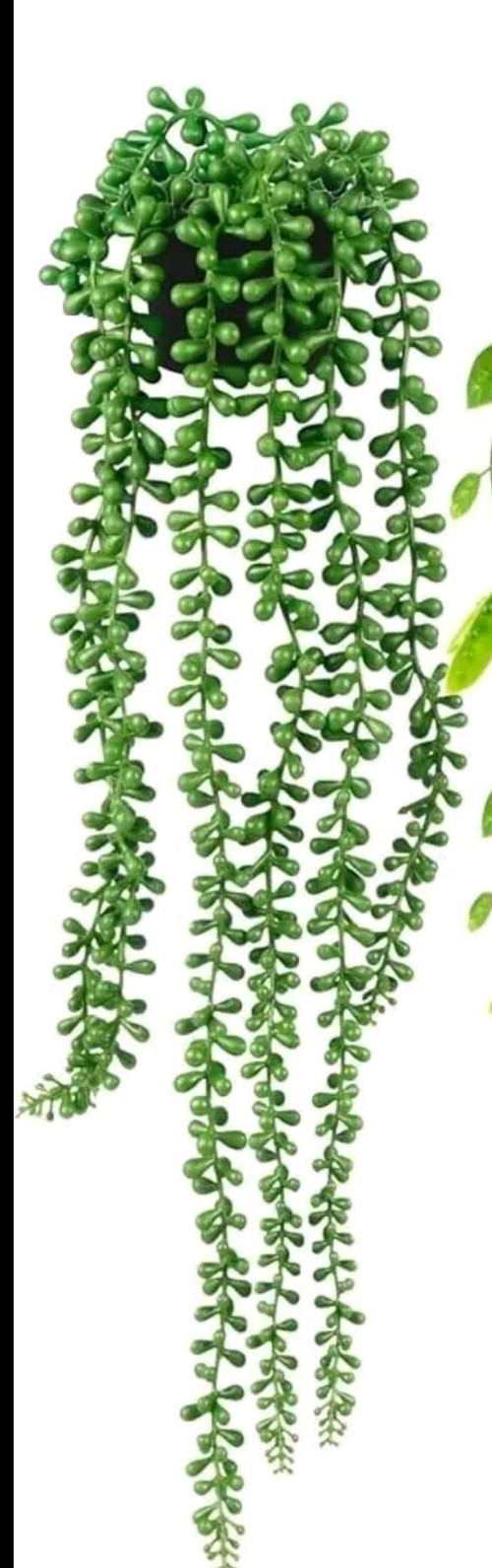 2pcs Indoor Artificial Plants: String of Pearls & Mandala Vine in Pot Home Decor