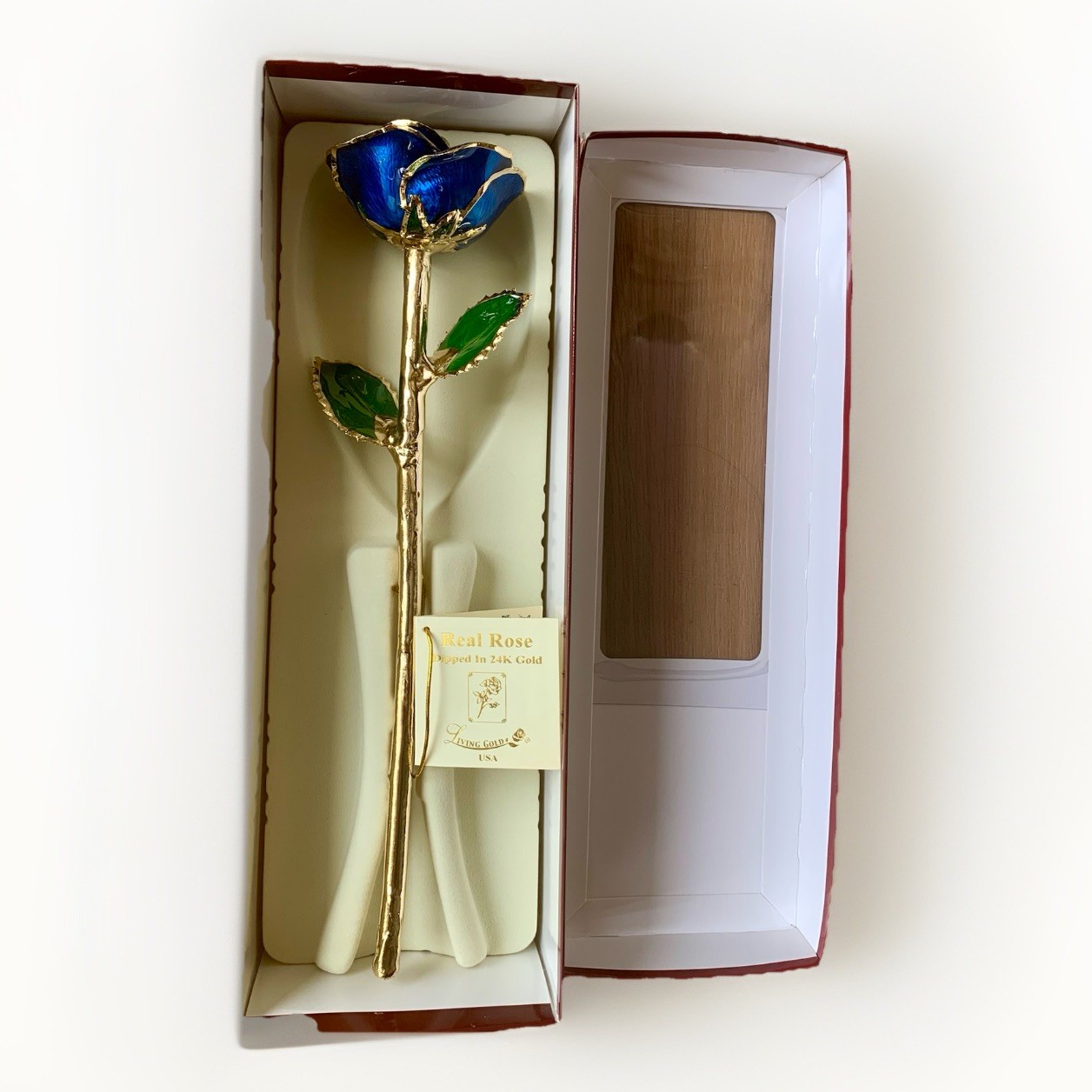 Living Gold Real Rose Dipped in 24K Gold w/ Certificate of Authenticity USA New