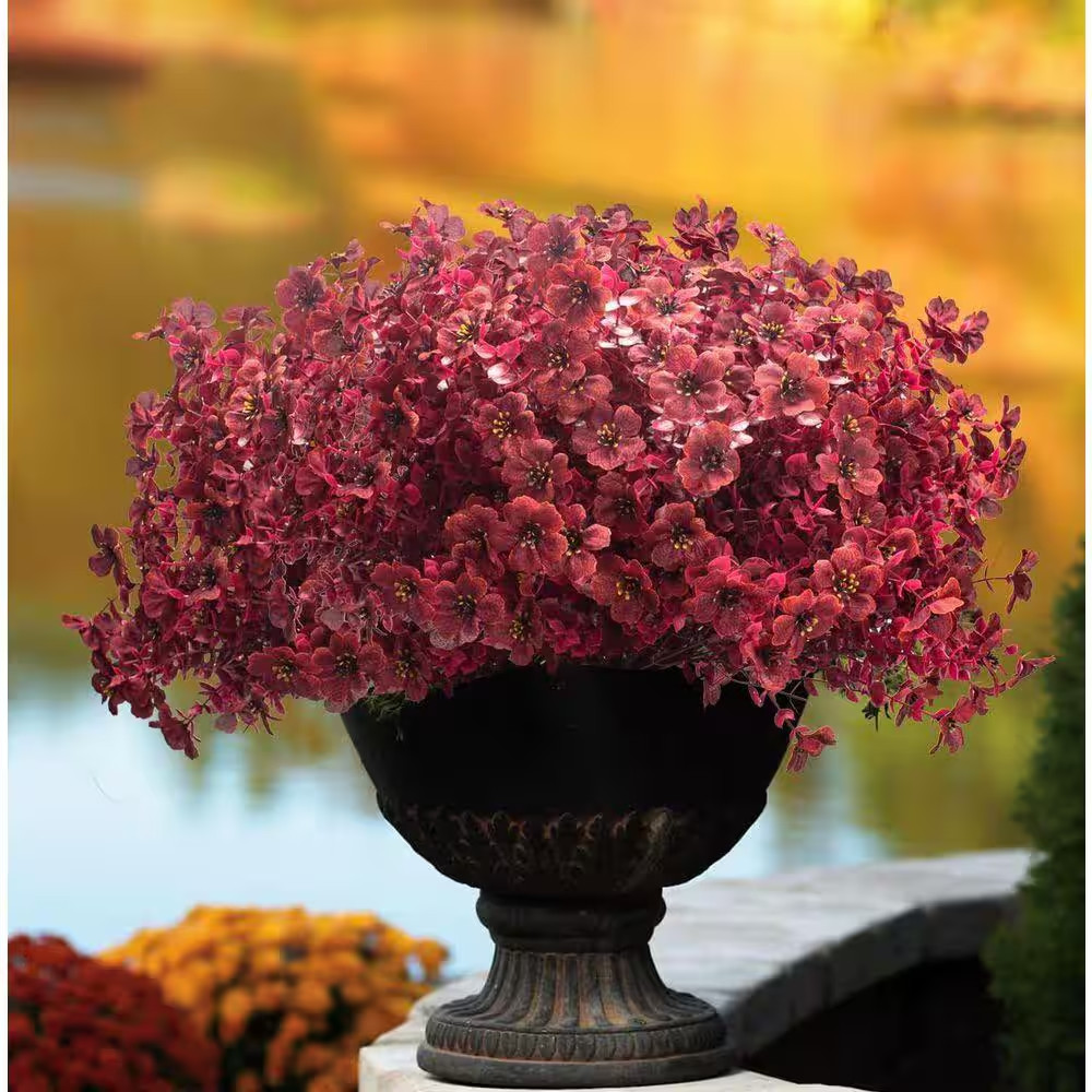 13.5 In. Wine Red Indoor/Outdoor Artificial Daisy Flower 16-Bundles