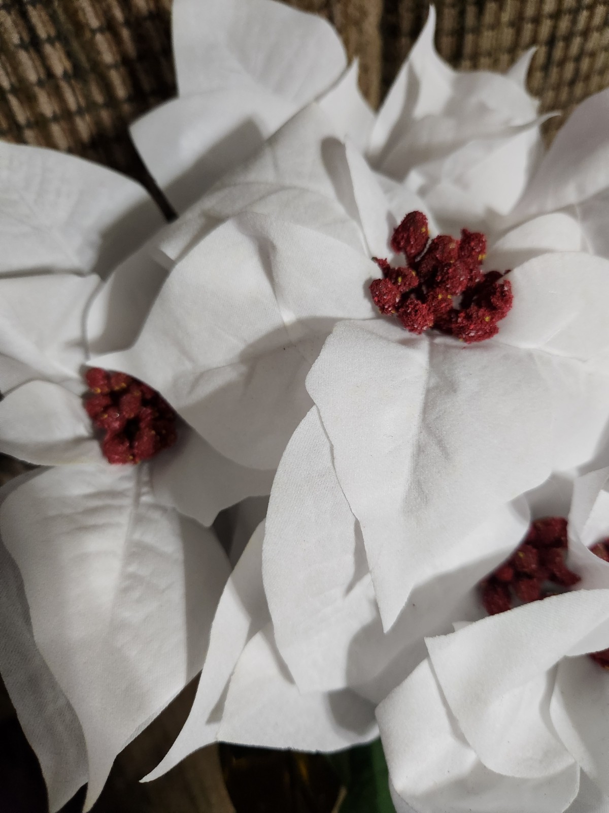 Holiday Time Aritificial Poinsettia Plant With Gold Foil Pot White Velvet 17in