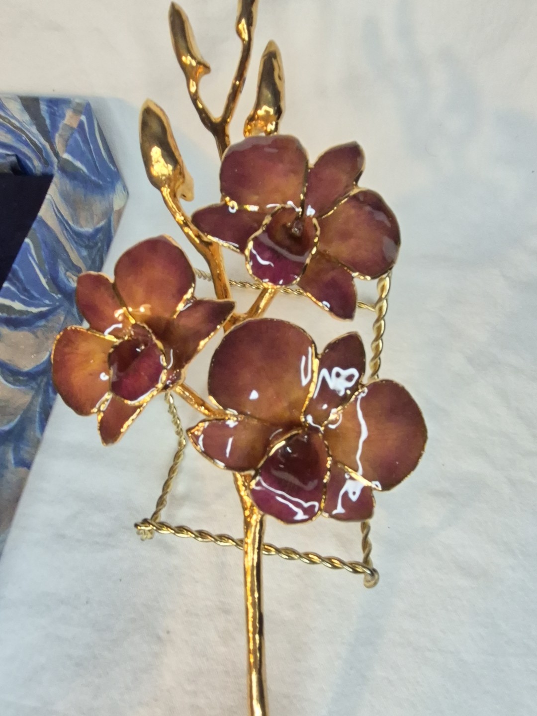 The Rose Lady 24Kt Gold Dipped Long Stem REAL Dendrobium Orchid NIB