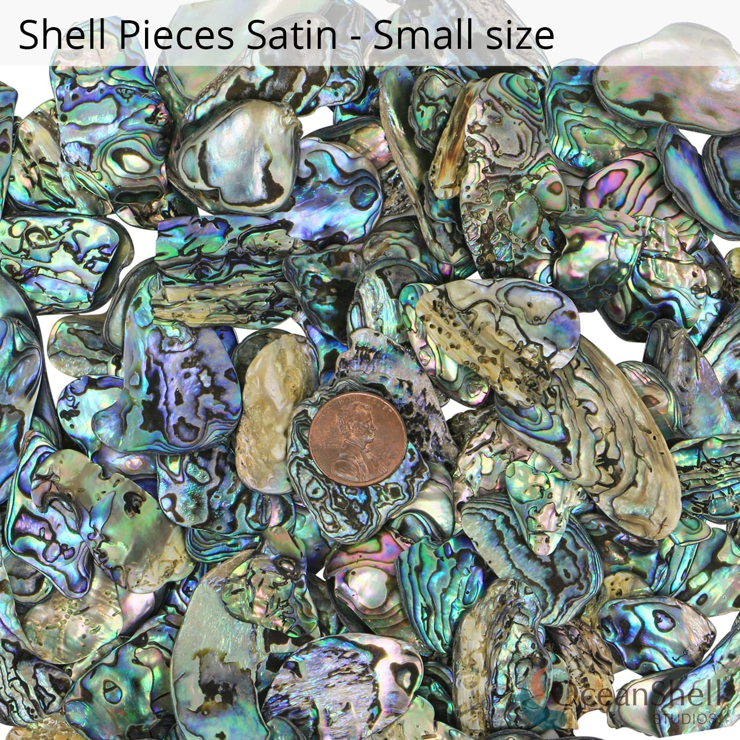 PAUA (Abalone) Shell Pieces Satin for Beach Theme Party, Wedding Decorations, DI