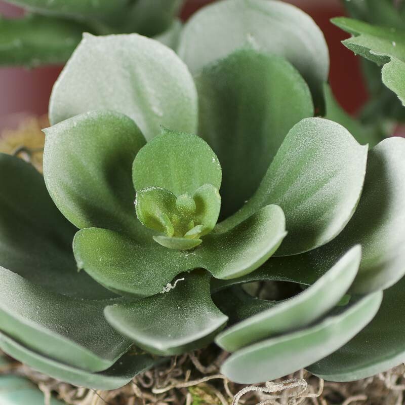 Trio of Assorted Artificial Dusty Green Succulents for Crafting, Creating