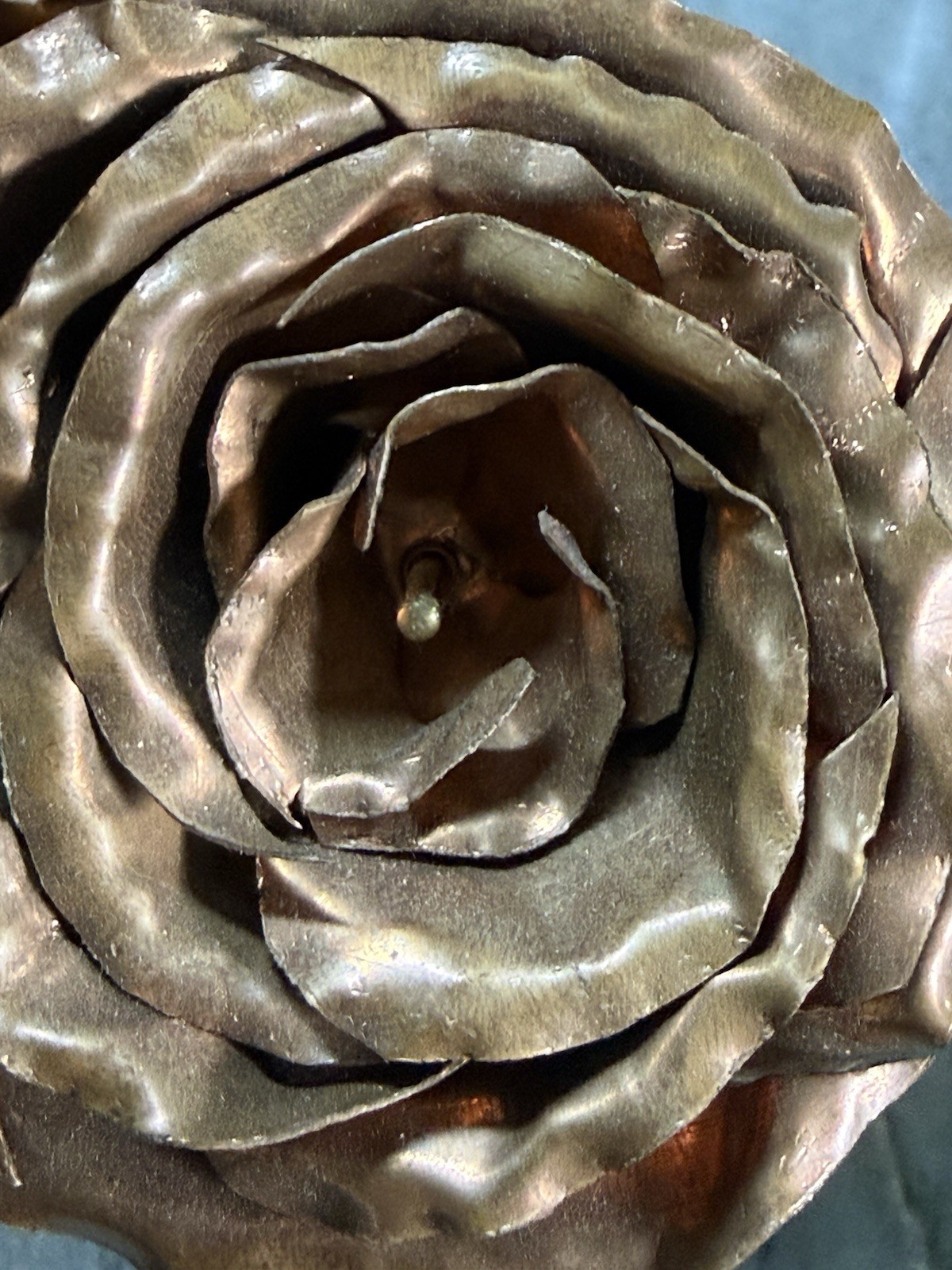Roses Copper 1/2 Dozen Forever Roses On Stem In Container 🌹