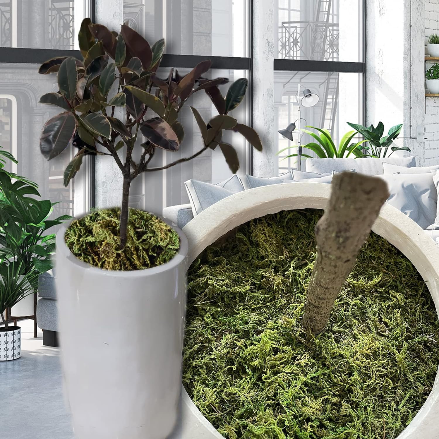 4.1OZ Fake Moss for Potted Plants and Fake Plants – Artificial Moss 4.1 Ounces
