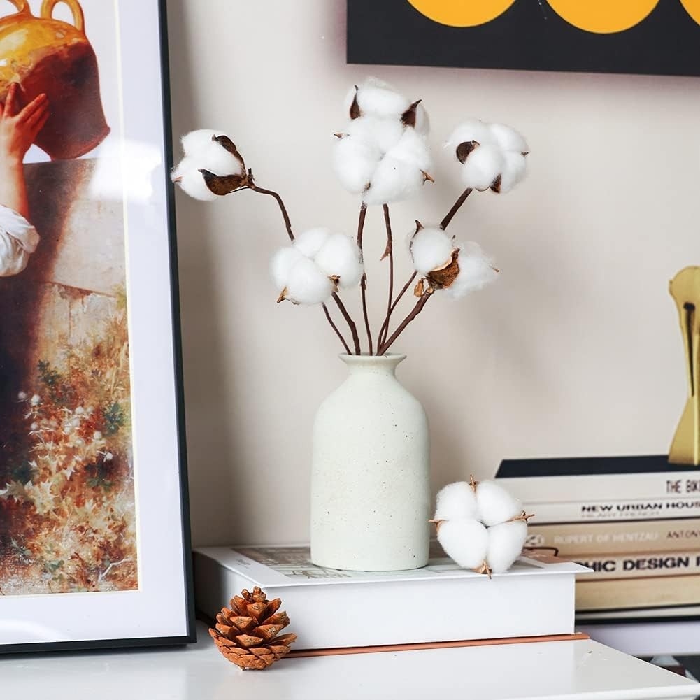 “DomeStar 30PCS Natural Dried Cotton Stems 15″” Tall, Rustic Cotton Sprigs for V